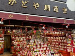 ��������̂��ǂ�J�^���ւ̓��e�ʐ^1