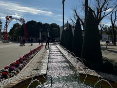 mau����̎u���X�y�C�����p���P�G�X�p�[�j���ւ̓��e�ʐ^1