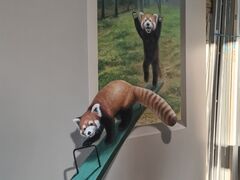 �ߐ{�Ƃ�������[�Ƃ҂��̎ʐ^4