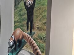 �ߐ{�Ƃ�������[�Ƃ҂��̎ʐ^5