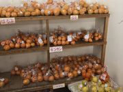 funixya����̔_�Y���������@�{�̗��̓��e�ʐ^1