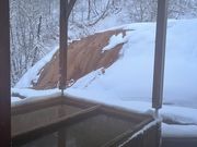 ���܂��񂳂�̓�҃��W�E������̓��e�ʐ^1