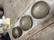 �A�L�W������̗[����q �I��q�m�̓��e�ʐ^1