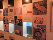 �L������̖y���r�W�^�[�Z���^�[�̓��e�ʐ^2