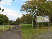 �L������̕x�m�����u�����̓��e�ʐ^1