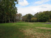 �L������̕x�m�����u�����̓��e�ʐ^2