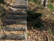 ������������̈ɓޏ�Ղ̓��e�ʐ^3