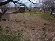 ������������̈ɓޏ�Ղ̓��e�ʐ^4