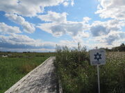 �L������̃T���x�c�����̓��e�ʐ^2