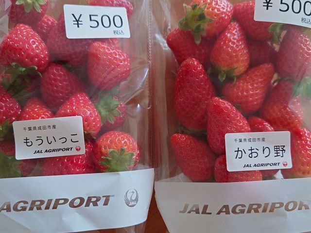 ���y�Y�ɔ����܂����B_JAL Agriport