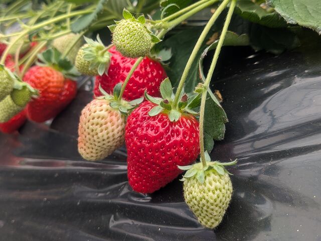 �嗱�ŊÂ��Ă������������ł�_�������_��