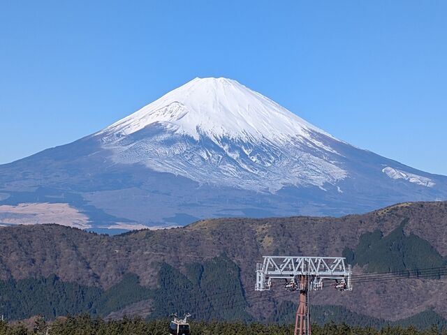 �v���Ԃ�ɑf���炵���x�m�R�����܂����B_��O�J