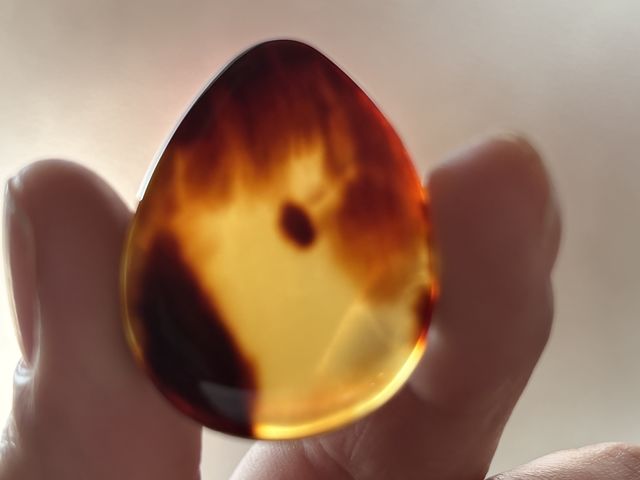 ���̑傫���ŁA���̋P���ŁA���̂��l�i�ł̑̌��ł��I������ɂ͉���M�d�ȑ̌��ł��I�I_�ޗǂׂ��b�@�r�c�H�[