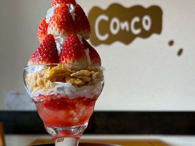 ���Ԍ���@�������p�t�F_�Ö����ቮConco