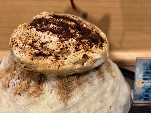 �J�t�F�I�������X
�i�ʔN�񋟁j_�Ö����ቮConco