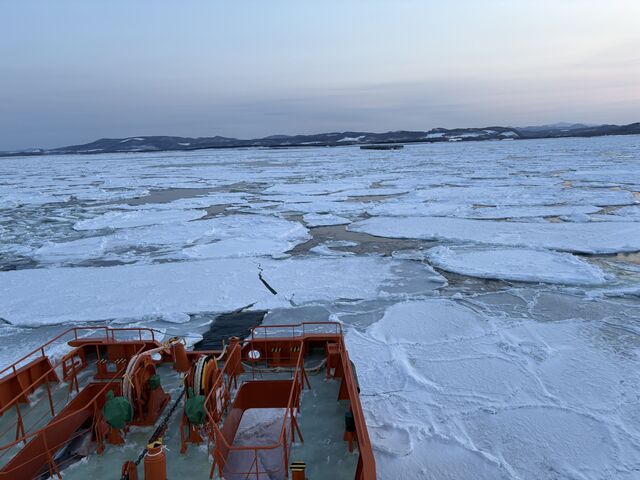 sawashiji����̃����_�[�c�A�[�Y�̓��e�ʐ^2