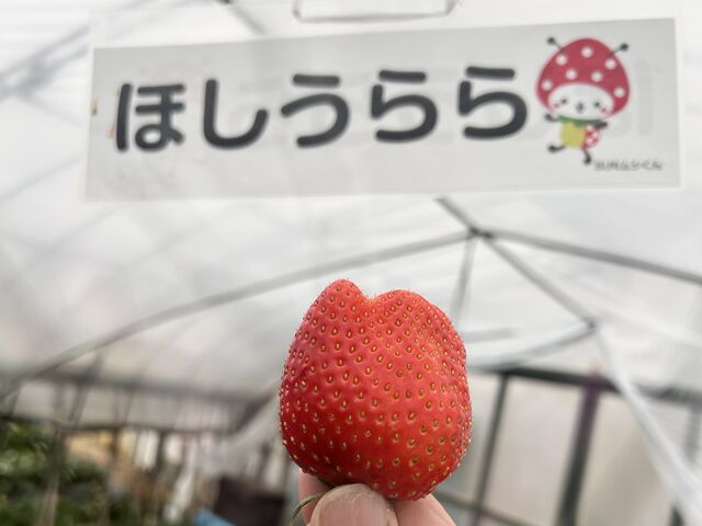 �Â�����_�L��䕉�