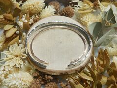 ����}�}����̂��������������@�i�N���[���j�ւ̓��e�ʐ^1