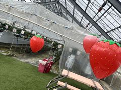 ���c�ό��_���̎ʐ^2