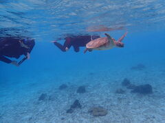 �}�����W�F�b�g�K�C�h �C���̎ʐ^2