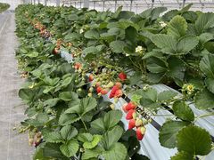 ����_���̎ʐ^3