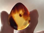 jani����̓ޗǂׂ��b�@�r�c�H�[�̓��e�ʐ^1