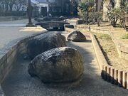 �Ƃ����񂳂�̐��ʉ��L�̓��e�ʐ^2