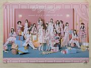 ������[����̖�c���̓��e�ʐ^4