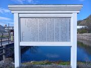 �q�f����̋g��o�Ɠ����̓��e�ʐ^2