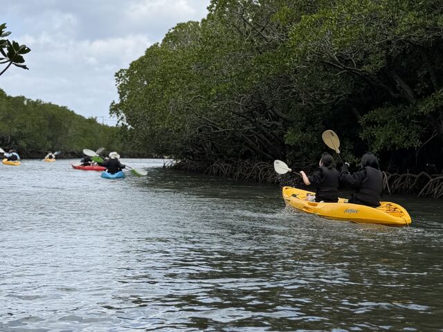 �J���b�N��2�l���_�O�����s���O���]�[�gStarOcean