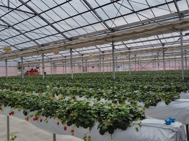 �L�������ł�_�J�E�x����������