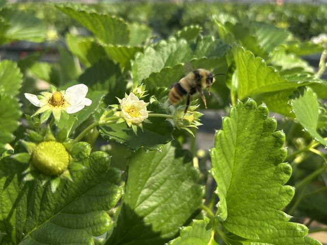 �͂�����������߂Ă͂����܂���_T-FARM 2���X