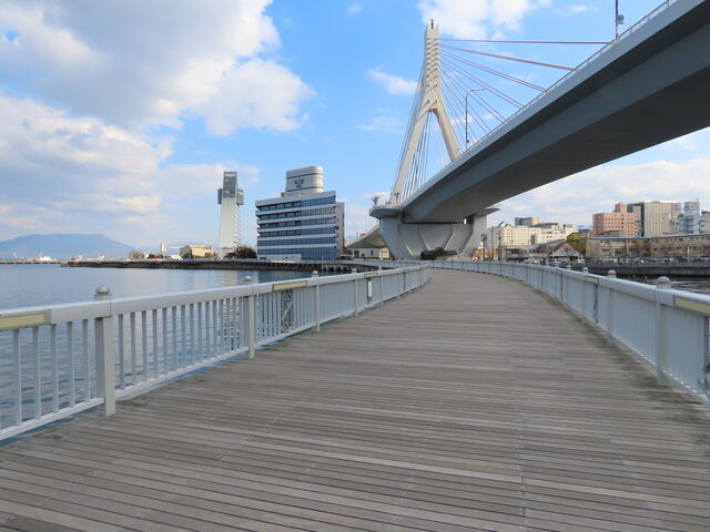 �X���u���b�W��̓x�C�u���b�W_�X���u���b�W