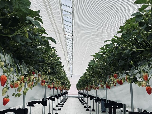 �{�݂����ꂢ�ŁA�X�^�b�t�̕����e�؂ł���_���C�G���A�C�_��