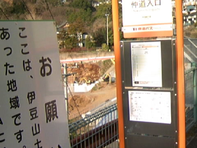 �B�e���l�v�����ĊŔ�_�ɓ��R����