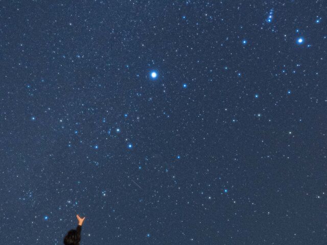 ���͂ފ����ł̃|�[�W���O�ł��B_�C�P�} �A�C�����h