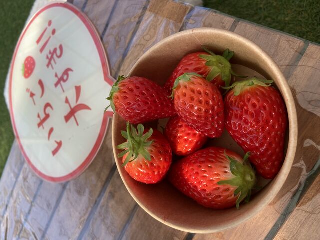 �͕P_䕎� ��������襒���