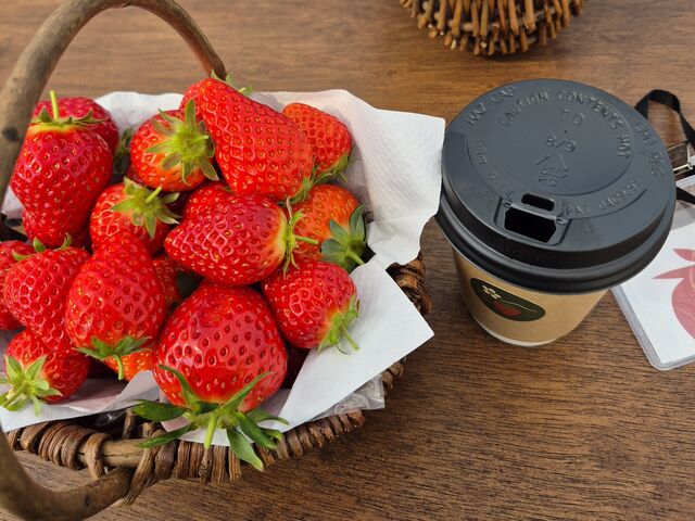 ��������̂�������䕉��̓��e�ʐ^1