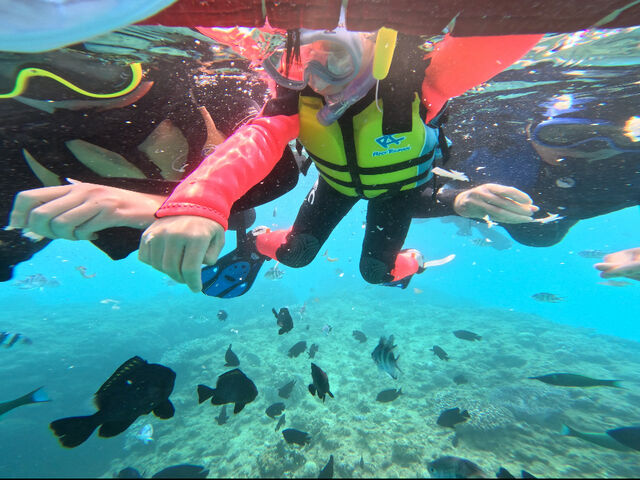 ����߂܂�����Ǝv���Ă��邱�ǂ�����_�_�C�r���O�V���b�vTI.OCEAN