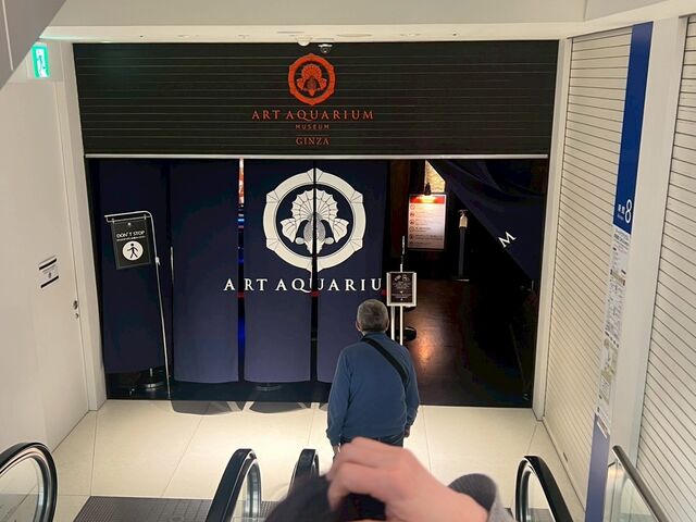 �ǂ�Ȋ������Ȃ��[�@���N���N_�A�[�g�A�N�A���E�����p�� GINZA