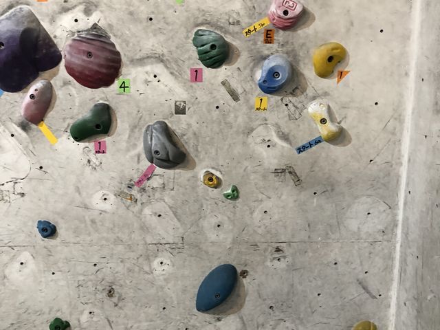 �r�M�i�[����_�i�J�K�C�N���C�~���O�W�� ����