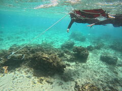 sunny bloom�̎ʐ^1