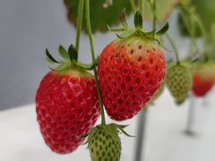 �J�E�x�����������̎ʐ^2