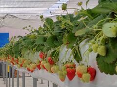 �J�E�x�����������̎ʐ^3