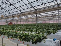 �J�E�x�����������̎ʐ^4