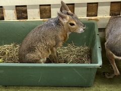 ���ÔM�ь��̎ʐ^1