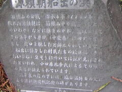 �T���v������̈������ւ̓��e�ʐ^1