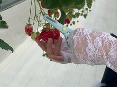 ����(�䂢)�t�@�[���̎ʐ^1