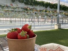 N�����䕎� ��������襒����ւ̓��e�ʐ^1