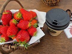 ��������̂�������䕉��ւ̓��e�ʐ^1